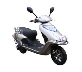 愛德森電動車的公司簡介